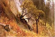 Albert Bierstadt Landscape Study, Yosemite California oil painting reproduction